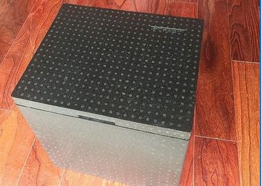 PPE de Packaing de chaîne du froid a isolé le refroidisseur de expédition 17,5 